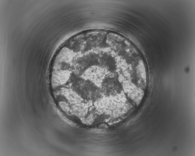 X0000115651037200912221327