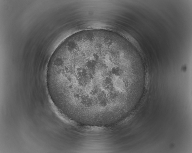 X0000115651039200912221327