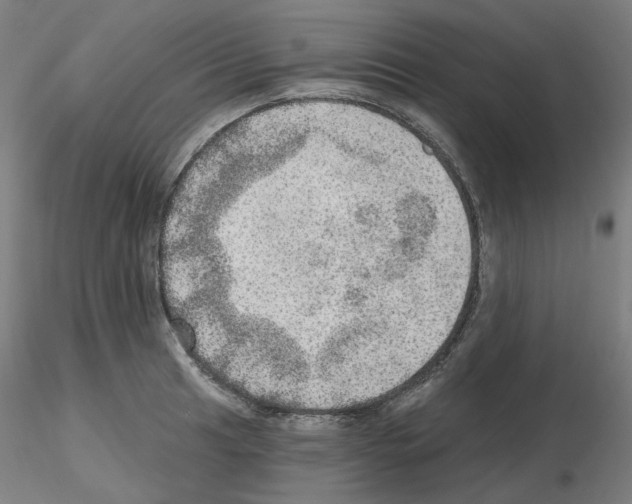 X0000115651041200912221327
