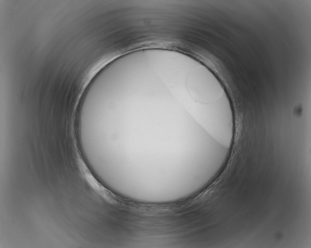 X0000115651042200912221327