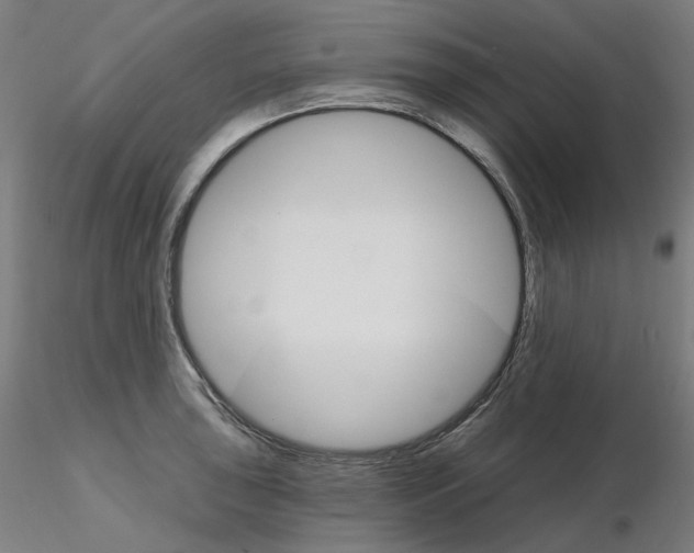 X0000115651043200912221327