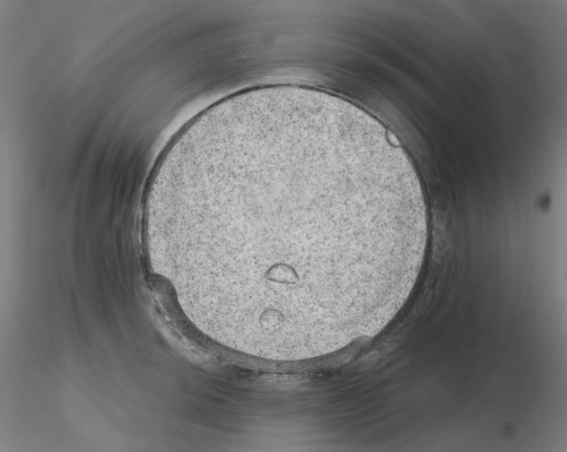 X0000115651044200912221327