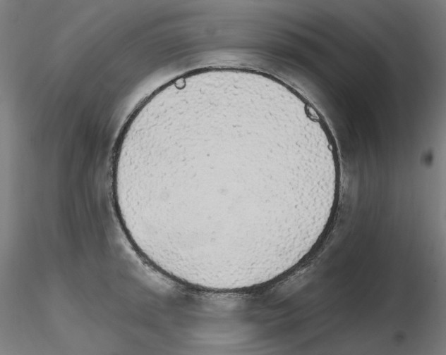 X0000115651045200912221327