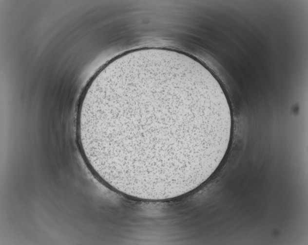 X0000115651046200912221327