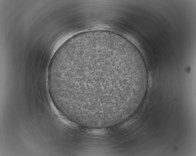 X0000115651047200912221327