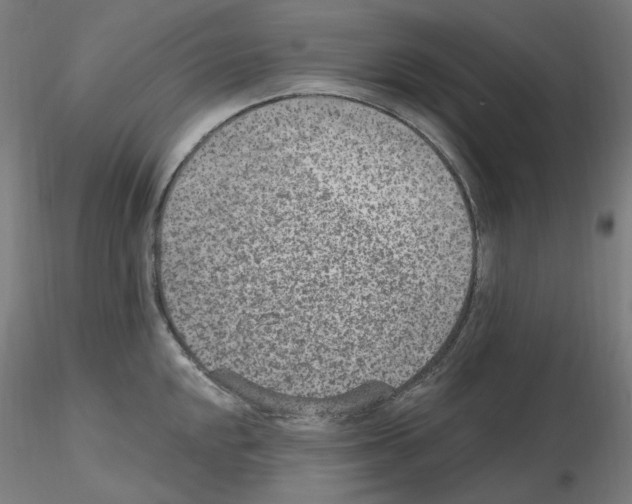 X0000115651048200912221327