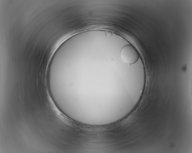 X0000115651050200912221327