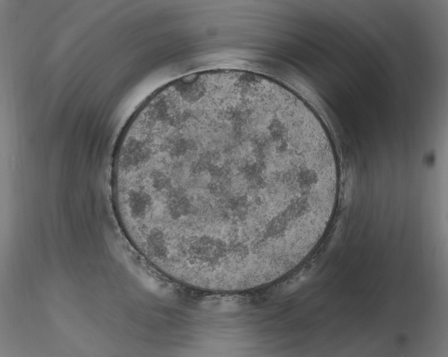 X0000115651051200912221327