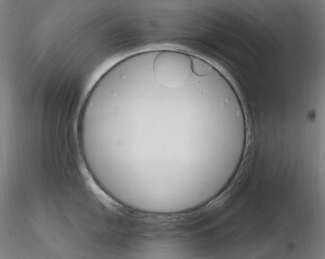 X0000115651054200912221327