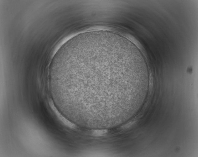 X0000115651055200912221327