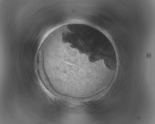 X0000115651056200912221327