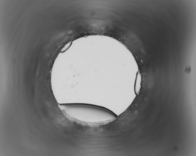 X0000115651057200912221326