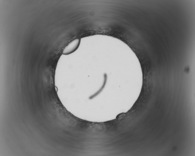X0000115651058200912221326