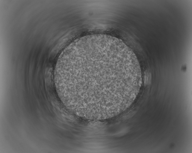X0000115651059200912221326