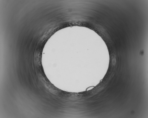 X0000115651060200912221326