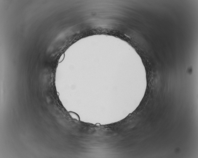 X0000115651061200912221326