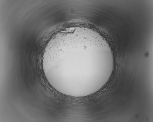 X0000115651062200912221326