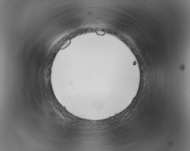 X0000115651064200912221326
