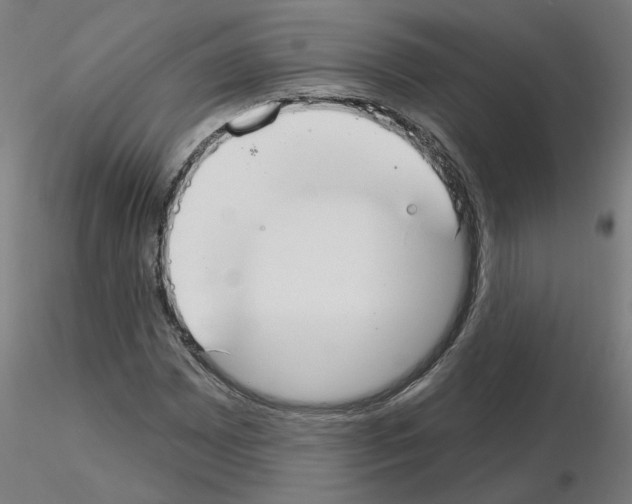 X0000115651065200912221326