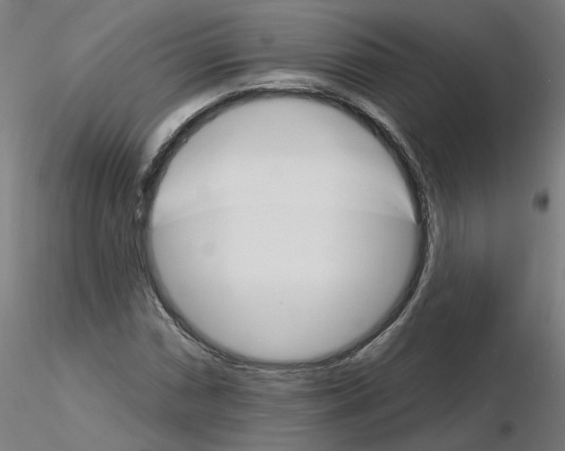 X0000115651066200912221326