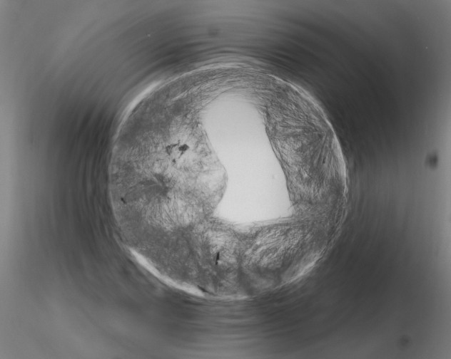 X0000115651067200912221326