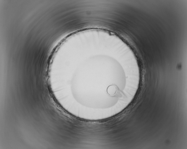 X0000115651068200912221326