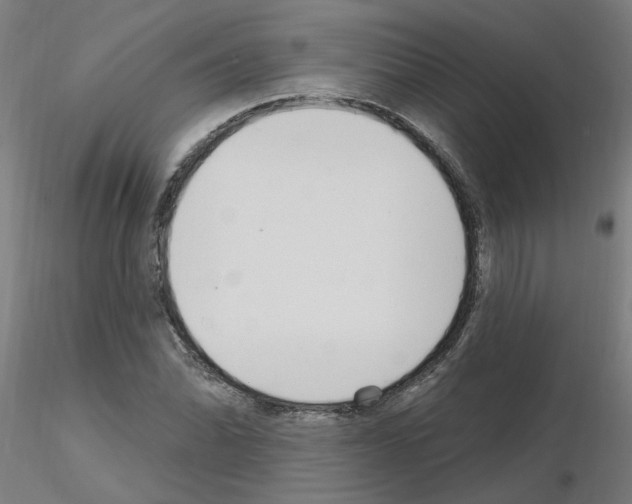 X0000115651070200912221326