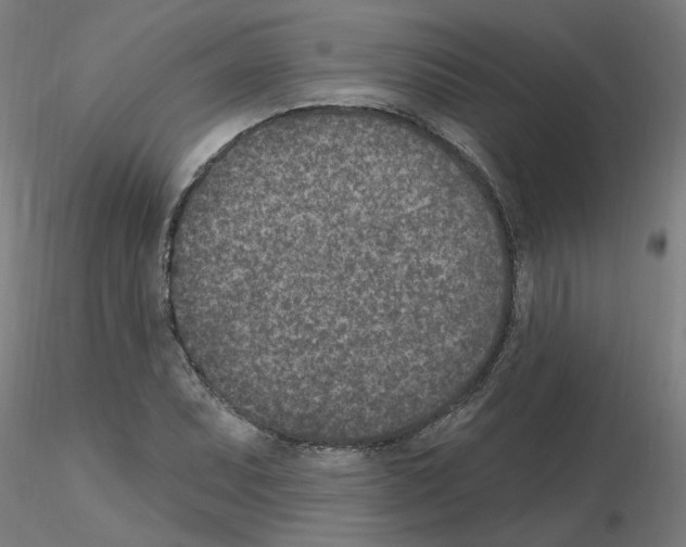X0000115651071200912221326