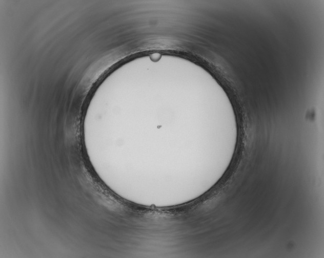 X0000115651073200912221326