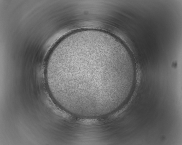 X0000115651074200912221326