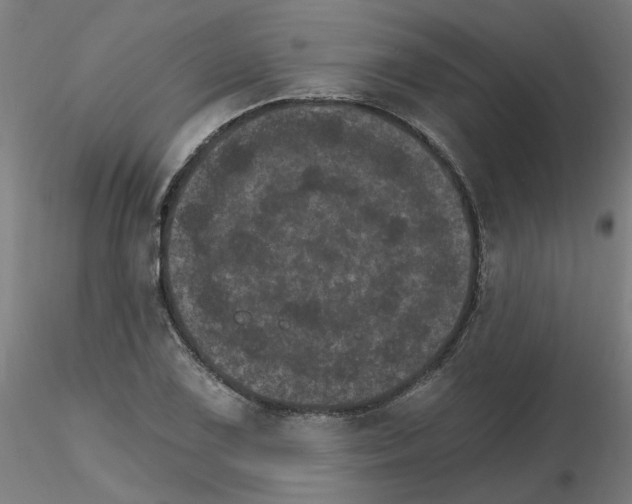 X0000115651075200912221326