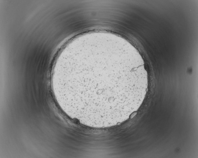 X0000115651076200912221326