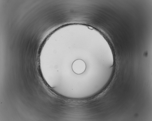 X0000115651077200912221326