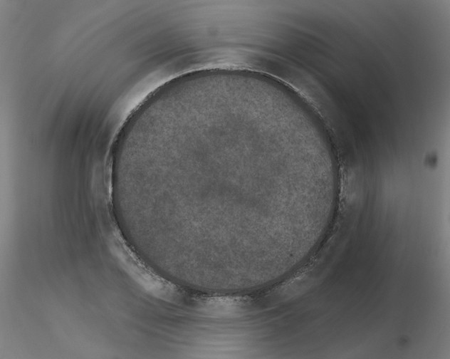 X0000115651078200912221326