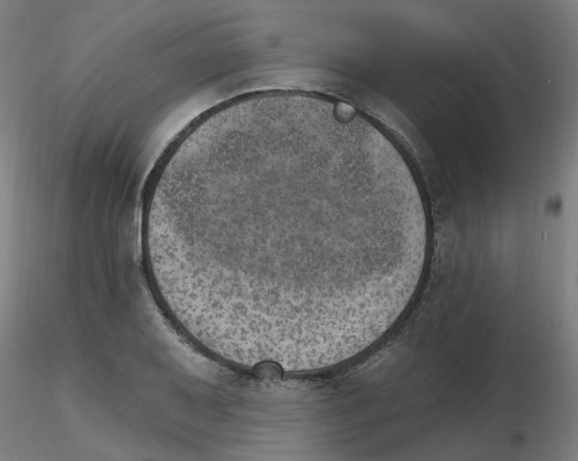 X0000115651079200912221326