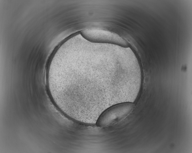 X0000115651080200912221326