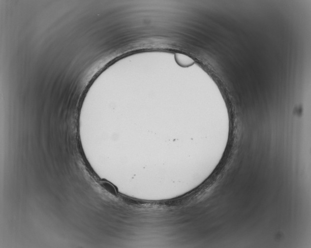 X0000115651081200912221326