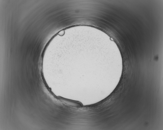 X0000115651084200912221326