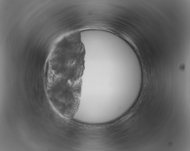 X0000115651087200912221326