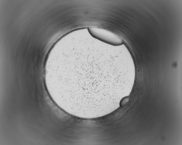 X0000115651088200912221326