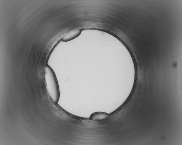 X0000115651089200912221326