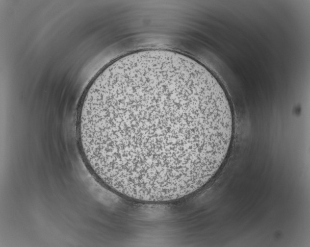X0000115651090200912221326