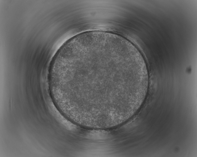 X0000115651091200912221326