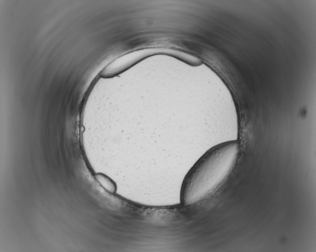 X0000115651092200912221326