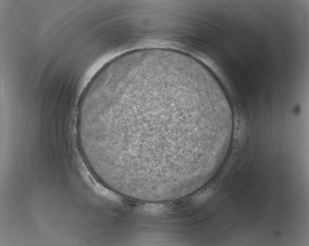 X0000115651094200912221326