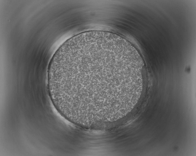 X0000115651095200912221326