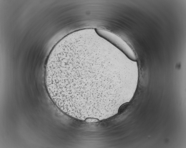 X0000115651096200912221326
