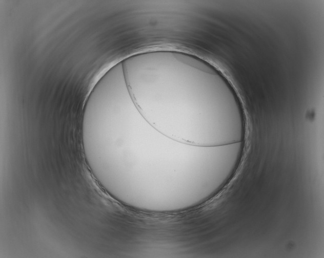 X0000115651097200912221326