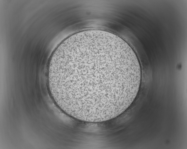 X0000115651098200912221326
