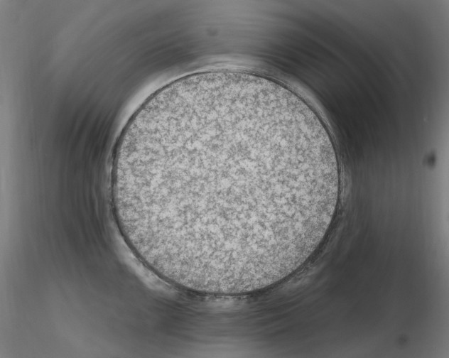 X0000115651099200912221326